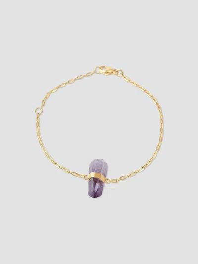 Jia Jia Women's Crystalline 14k Yellow Gold & Veracruz Amethyst Chain Bracelet In Purple Gold