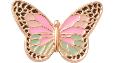 Jibbitz Elevated Colorful Butterfly In Pink