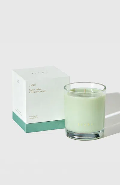 Juana Sage + Indica Coco-apricot Non-toxic Candle In Green