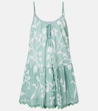 Juliet Dunn Floral Scalloped Cotton Minidress In Green