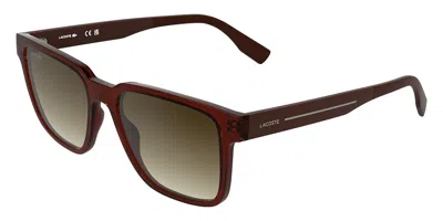 Lacoste L6101s 204 Men's Sunglasses Red Size 55 In Transparent Dark Brick