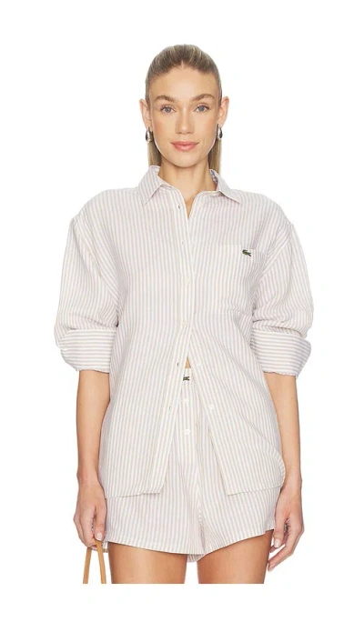 Lacoste Oversized Fit Toile Shirt In Lionne & Flour