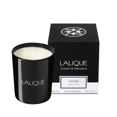 Lalique Unisex Figuier Amalfi Scented Candle 21.2 oz Fragrances 7640171196626