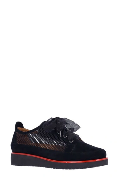 L'amour Des Pieds Zafira Mixed Media Derby In Black