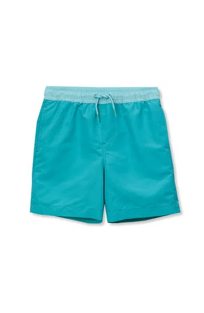 Lands' End Kids'  Boys Print Swim Trunks In Blue