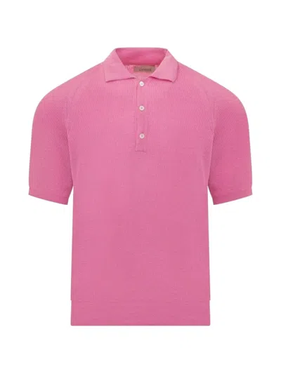 Laneus Raglan-sleeve Ribbed Polo Shirt In Pink
