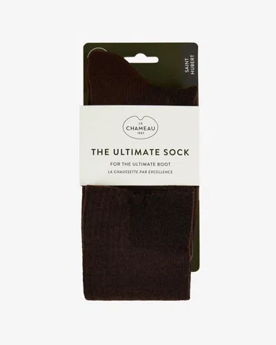 Le Chameau Saint Hubert Socks - Brown - Brown / Xl