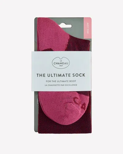 Le Chameau The Ultimate Socks Low - Rouge - M In Red
