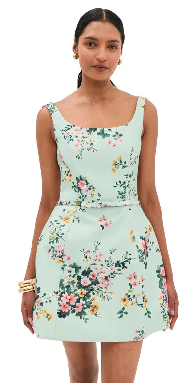 Leo Lin Lyra Mini Dress Posy Print In Mint In Neutral