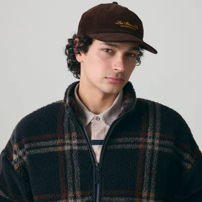 Levi's Lakeshore Trucker Cap In Brown