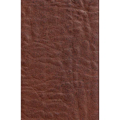Levi's Faux Leather Belt In Light Brown