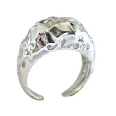 Linya Jewellery Amorphous Shiny Silver Oval Signet Ring