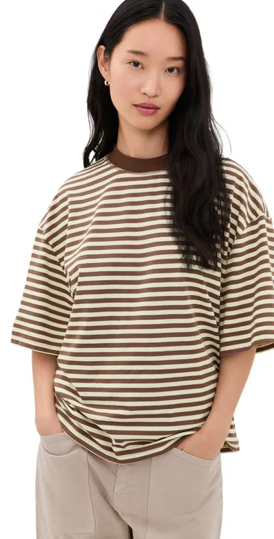 Lioness Bloom Short Sleeve Tee Sorbet Cocoa Stripe In Brown