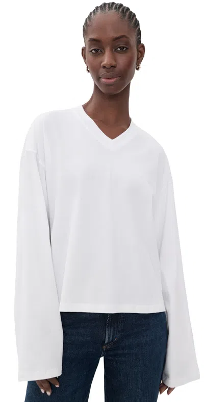 Lioness Bloom V Neck Long Sleeve Tee Porcelain In Animal Print