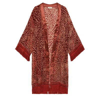 Little Lies Women's Brown / Yellow / Orange Heartbreaker Rust Devore Kimono In Brown/red