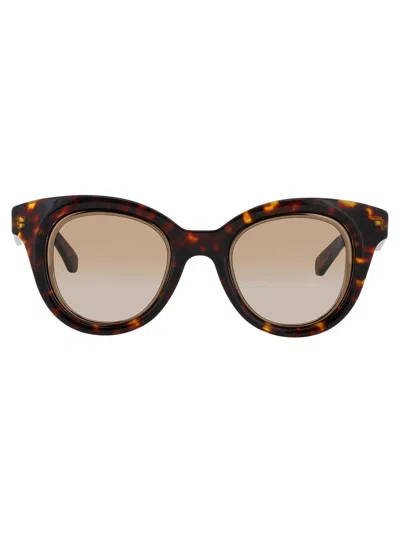 Loewe Lw40183 I Sunglasses In Brown