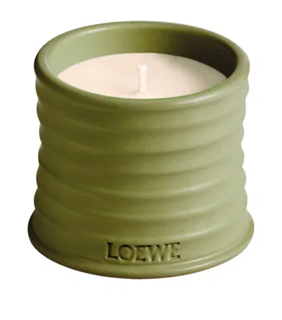Loewe Small Pistachio Candle In Green