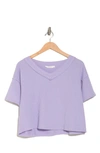 Lush Ribbed V-neck Sweater In Lilac