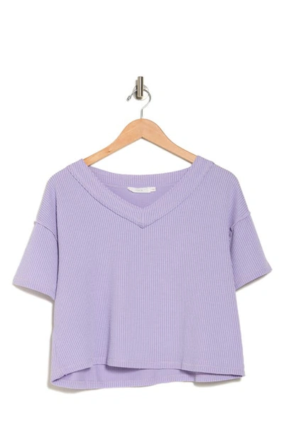 Lush Ribbed V-neck Sweater In Purple