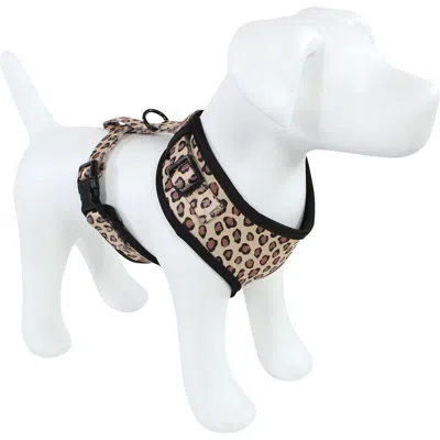 Luvable Friends Pet Harness In Multi