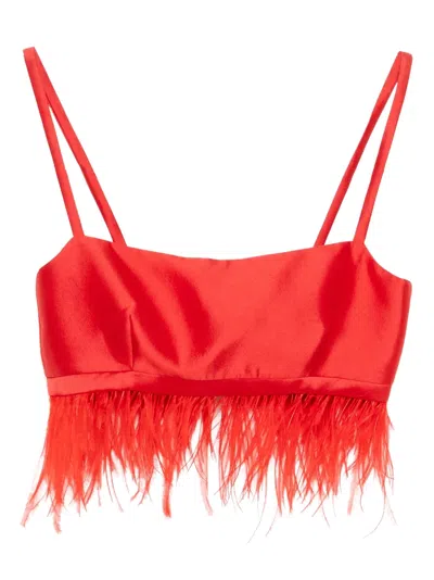 Macgraw Birdy Top In Red