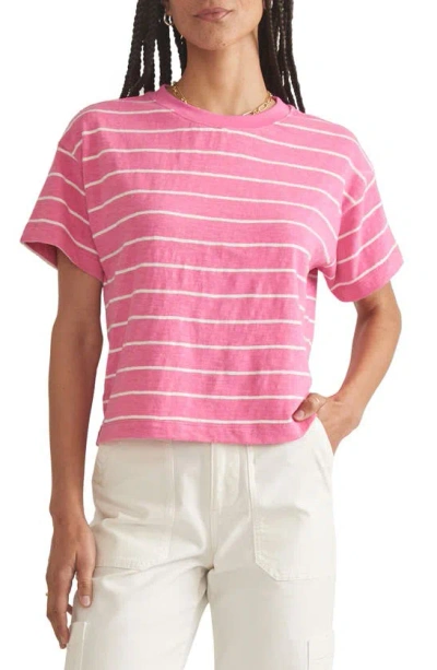 Marine Layer Sadie Stripe Boxy Crop Slub T-shirt In Pink/ Skipper Stripe