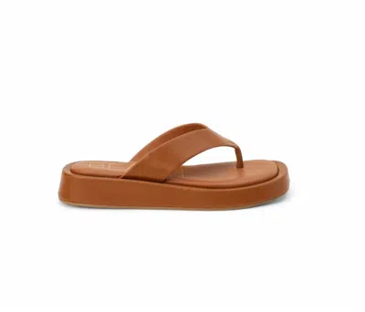 Matisse Women's Mallorca Wedge Sandal In Cognac In Green
