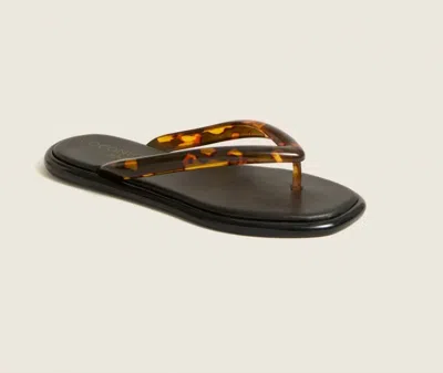 Matisse Women's Mermaid Sandal In Tortoise In Brown