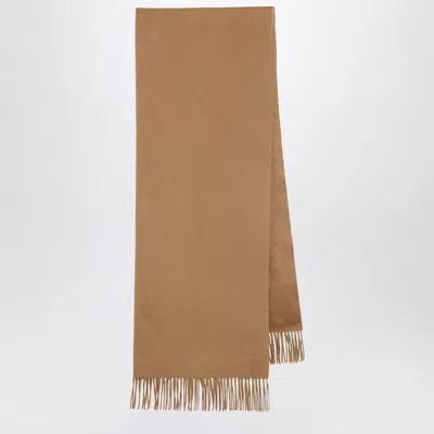 Max Mara Beige Cashmere Scarf In Brown