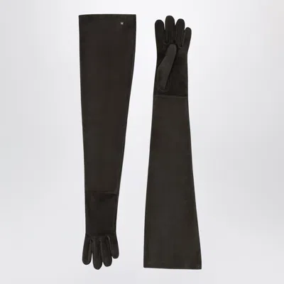 Max Mara Long Lupo Suede Nappa Gloves In Brown