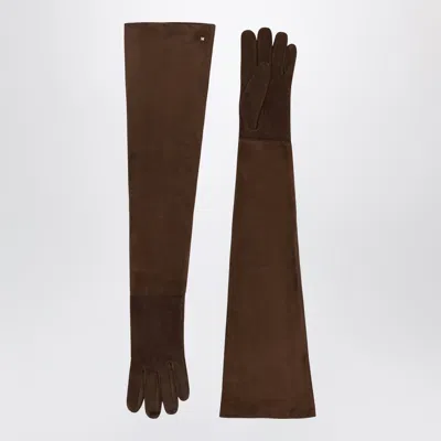Max Mara Long Volpe Suede Nappa Gloves In Brown