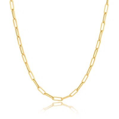 Max + Stone 14k Yellow Gold Paperclip Chain Link Necklace 18 Inch Length