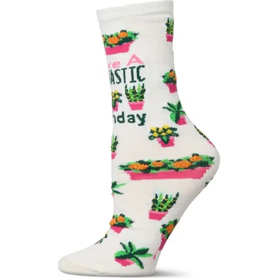Memoi Big Kid's Have A Plantastic Birthday Greeting Card Crew Socks In Neutral