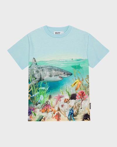 Molo Kids' Boy's Roxo Shark Graphic T-shirt In Shore Life