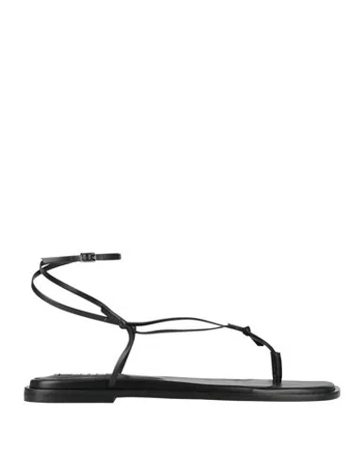 Msgm Woman Thong Sandal Black Size 5 Leather