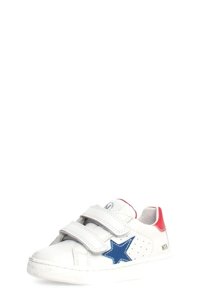 Naturino Kids' Pinn Sneaker In White-azure-red