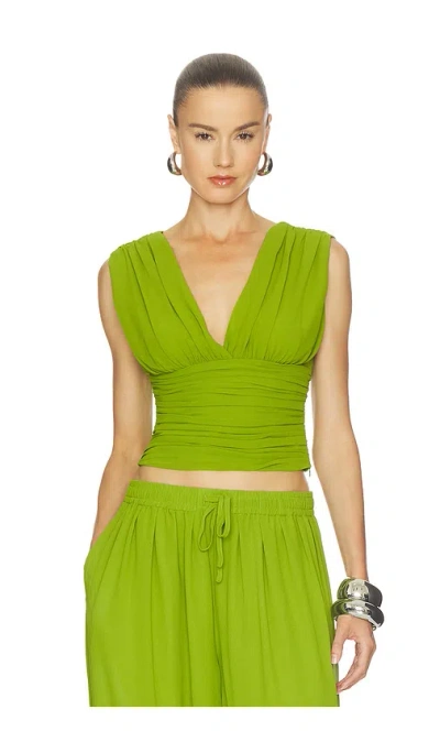 Nicholas Karis Top In Leaf