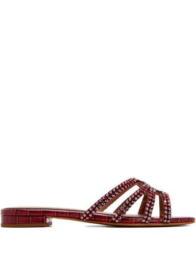 Nicoli Kalene Strappy Sandals In Red