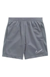 Nike Kids' Dri-fit Training Shorts In Smoke Grey/ Smoke Grey/ White