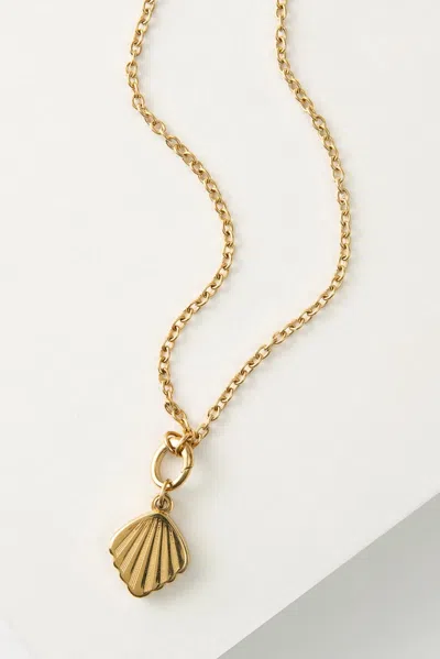 Noonday Shell Cove Locket In Default Title