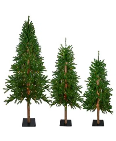 Northlight Set Of 3 Pre Lit Slim Alpine Artificial Christmas Trees 5 Multicolor Lights Collection In Green