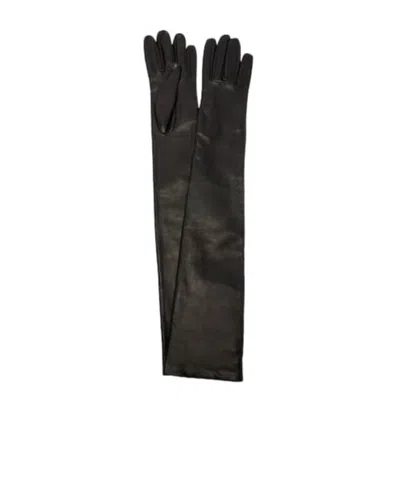 Nour Hammour Elbow Gloves In Black
