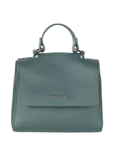 Orciani Mini Sveva Soft Pebbled Leather Tote Bag In Green