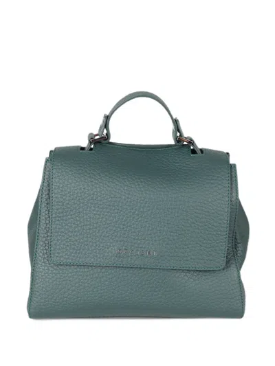 Orciani Small Sveva Soft Tote Bag In Green