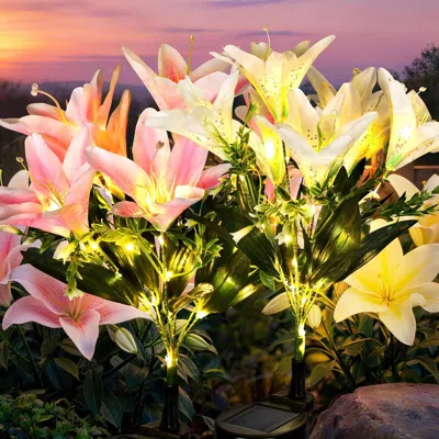Oshana Solar Garden Lights, 2 Pack Led Lily Garden Decor Carefree Solar Flowers Outdoor Waterproof, Yard De