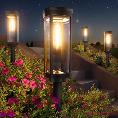Oshana Solar Powered Lawn & Patio Lights - 8 Pack