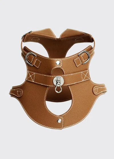 Pagerie The Colombo Dog Harness In Saddle