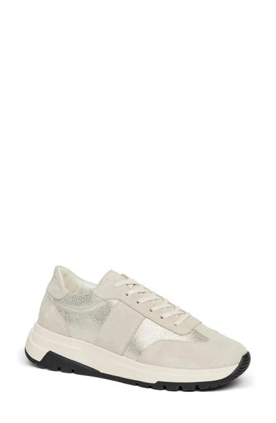 Paige Maya Mixed Media Sneaker In Gray