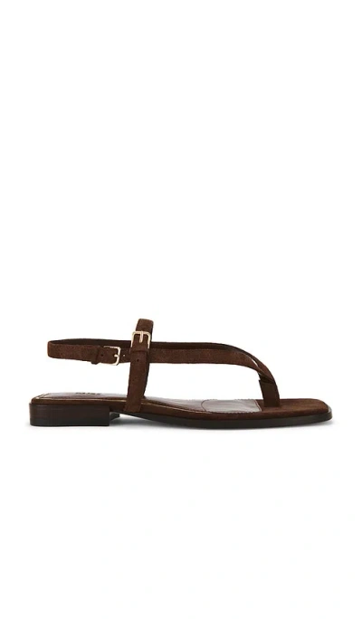 Paige Regan Sandal In Mahogany