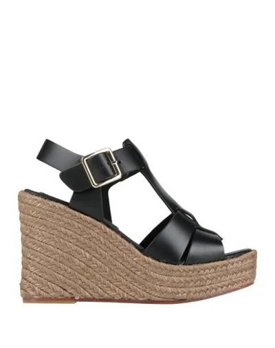 Paloma Barceló Woman Espadrilles Black Size 8 Cow Leather In Multi